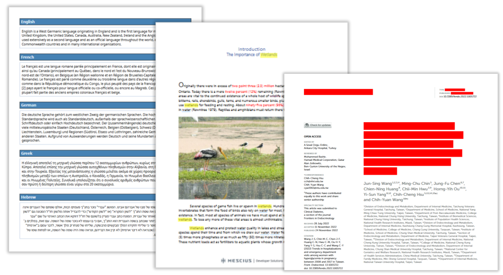 WebAssembly-Powered Document Processing for JavaScript