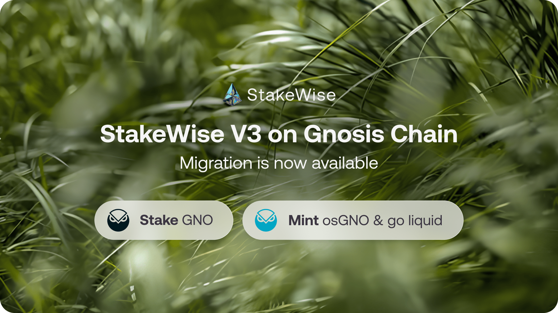 StakeWise Blog | StakeWise V3 on Gnosis Chain: What to Expect & How to ...