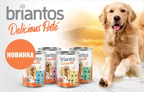 Новинка! Briantos Pate влажный корм для собак!