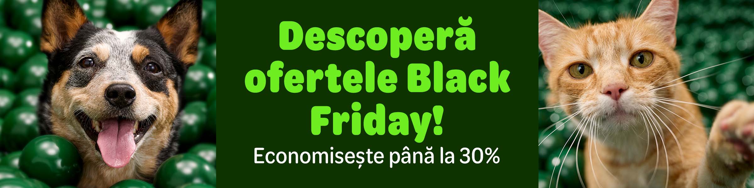 Descoperă cele mai bune oferte ale anului.