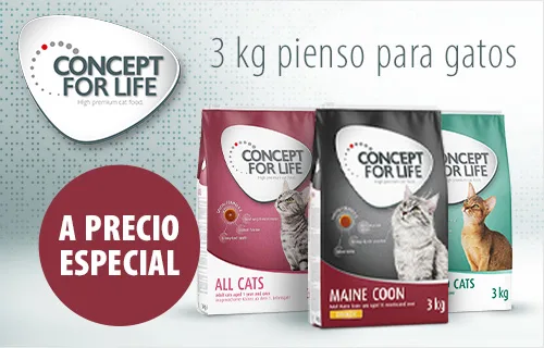 Concept for Life Adult 3 kg pienso para gatos ¡a precio especial!