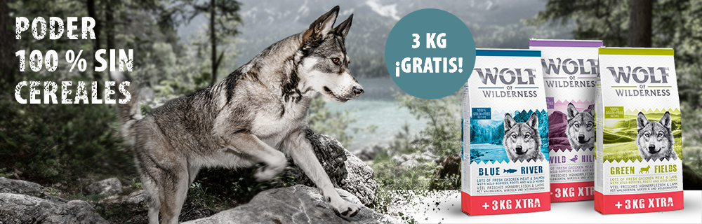 Wolf of Wilderness pienso para perros 12 + 3 kg GRATIS