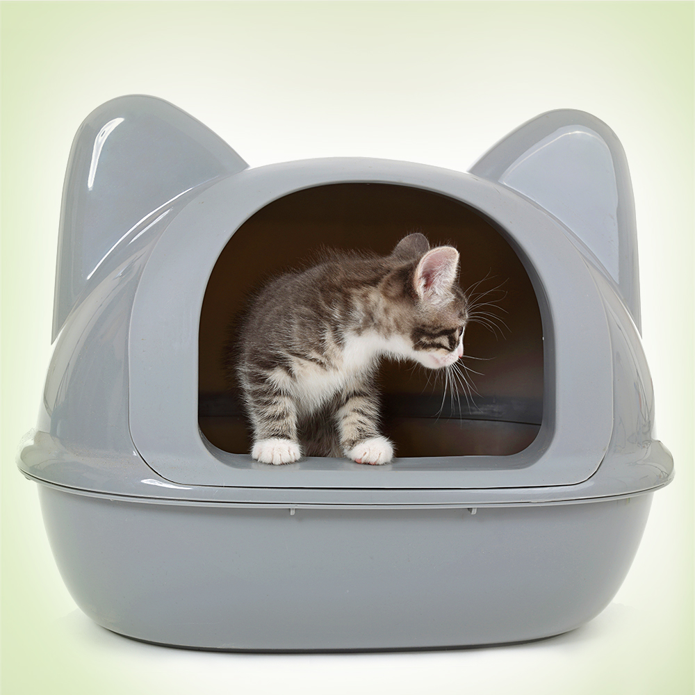 Kitten Products | Buy Now for Less at zooplus
