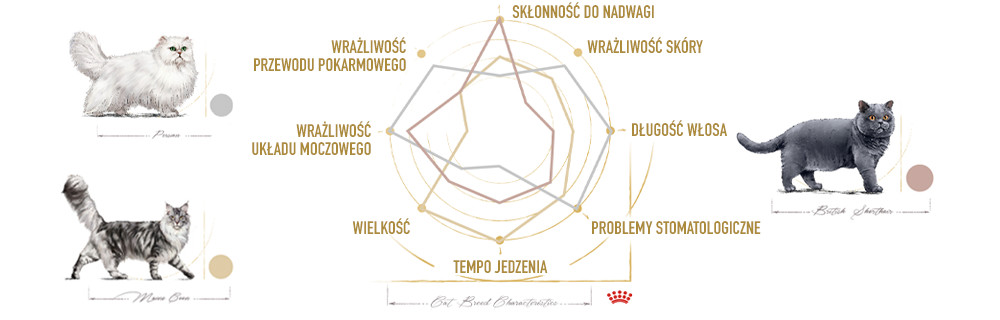 Każda rasa ma specyficzne wymagania zdrowotne