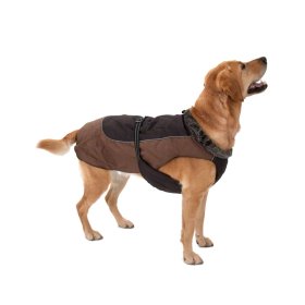 Manteau pour chien âgé