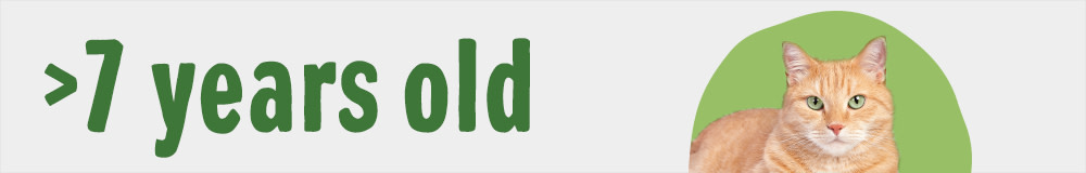 Senior Cats Aged 7 and Above