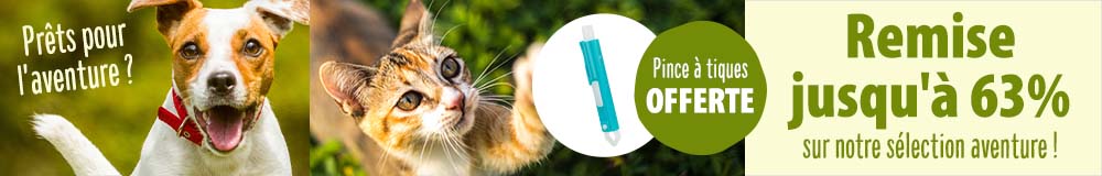 Prêts pour l'aventure ?