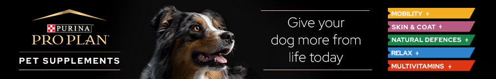 PRO Plan - Dog