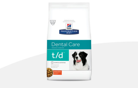 hill's prescription diet dental care para cães