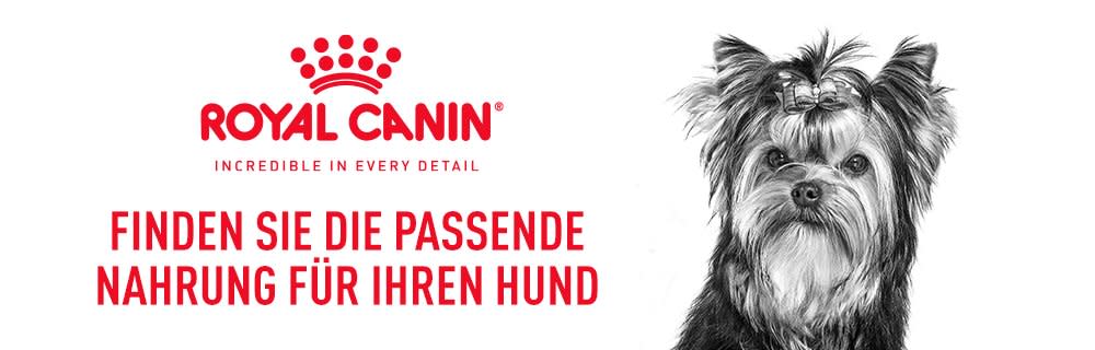 Royal Canin banner Hund