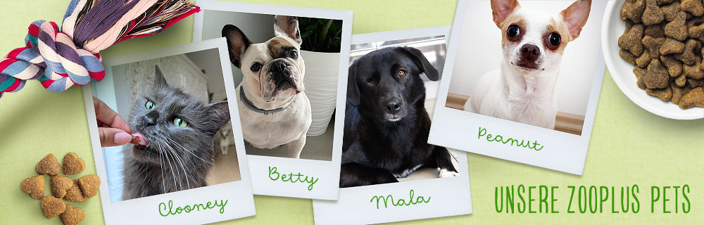 zooplus pets - wir lieben unseren Job