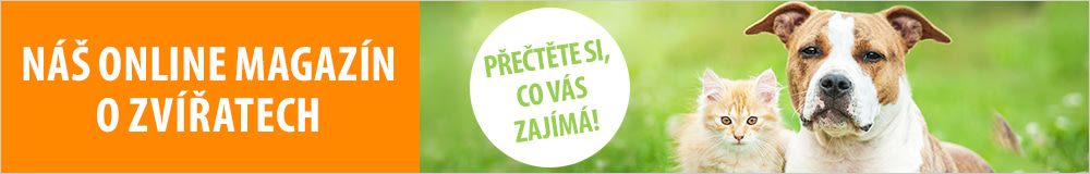 zoohit magazín