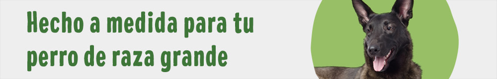 Otros perros de raza grande