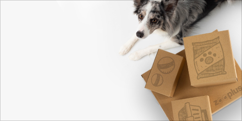 ZOOutlet para perros