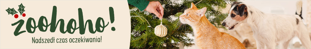 Jarmark świąteczny