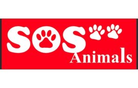 SOS animals