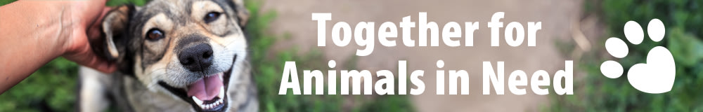 Animal Welfare 