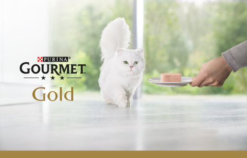 Gourmet Gold Comida húmeda para gatos