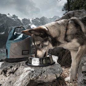 Wolf of Wilderness Dog Accessories