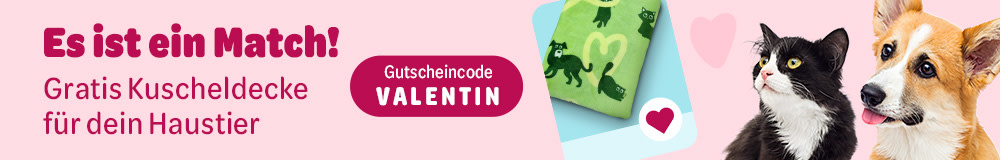 Es ist ein Match! Gratis Kuscheldecke für dein Haustier, Gutscheincode Valentin