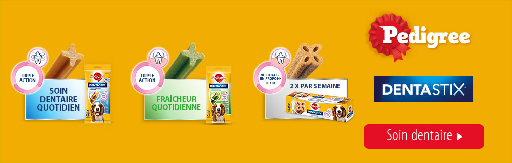 Dentastix Banner Web