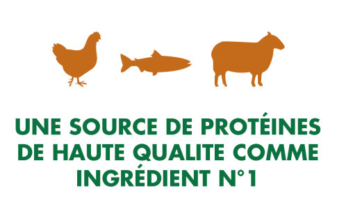 Nutro : une source de protéines de haute qualité comme ingrédient N° 1