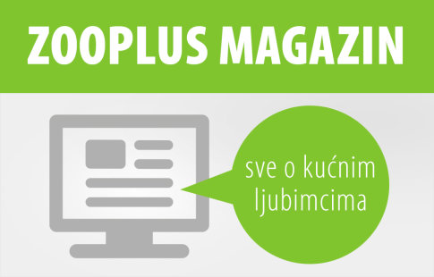 zooplus Magazin