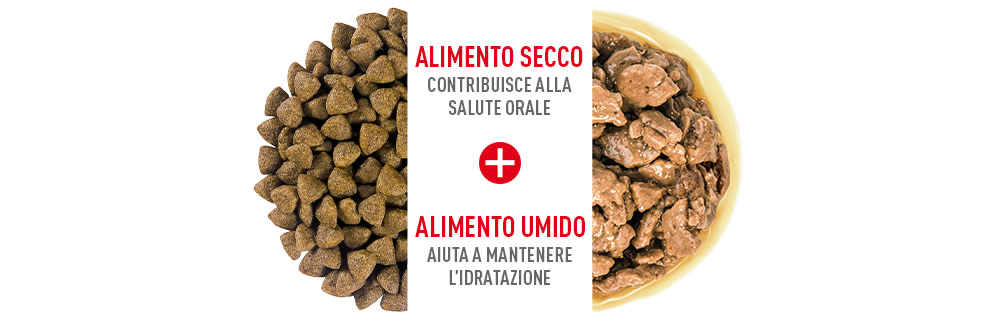 alimenti secchi + umidi