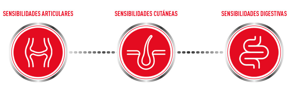 Why ROYAL CANIN® Supplements