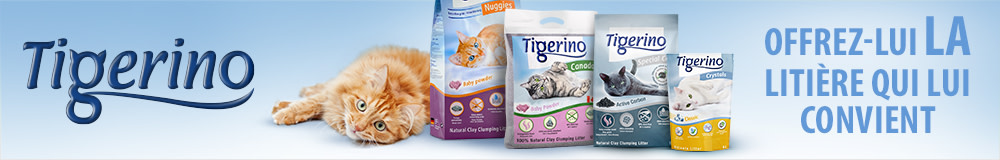 Découvrez les litières Tigerino >>