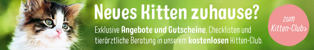 Neues Kitten zuhause? Jetzt zum Kitten-Club anmelden und profitieren!