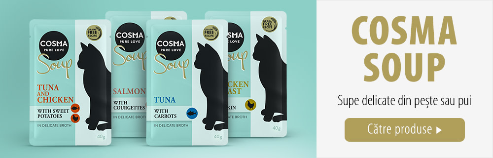Cosma Soup