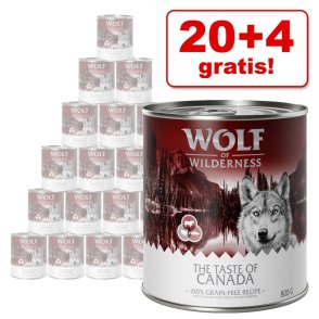 20 + 4 gratis! Wolf of Wilderness 24 x 800 g hrană umedă