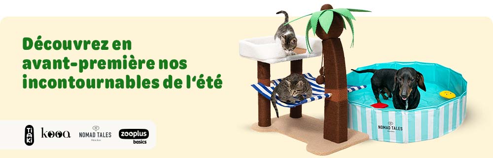 Découvrez en avant-premiére nos incontournables de l'été