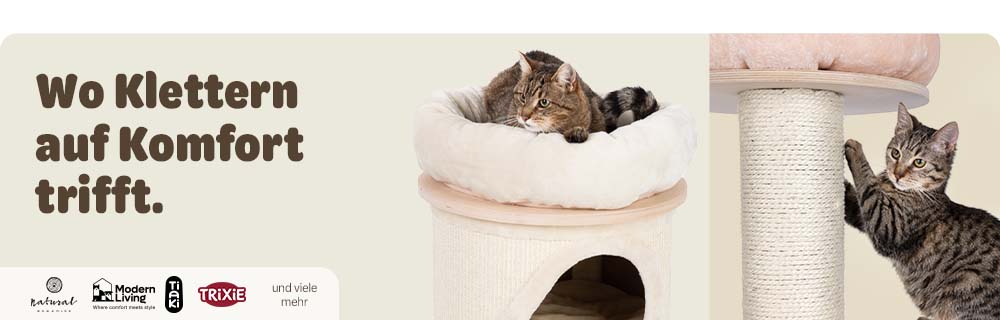 Wo klettern auf Komfort trifft. Bis zu 25% Rabatt auf Katzenbäume
