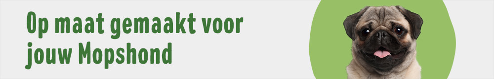 Mopshond