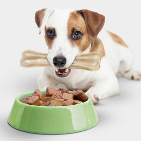 Veterinary Dog Food