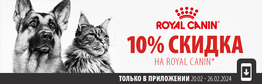 10% скидка на Royal Canin для кошек и собак