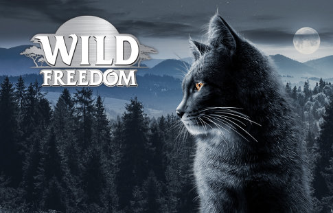 Wild Freedom 