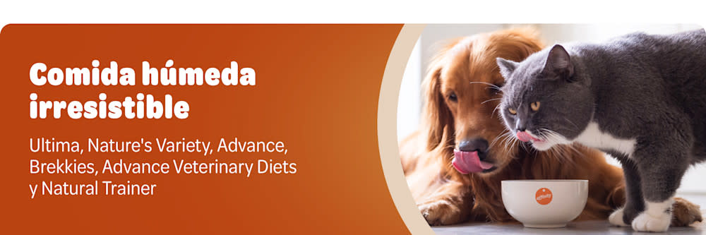 Affinity comida húmeda para perros y gatos