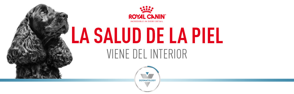 Royal Canin Veterinary Dermacomfort para perros