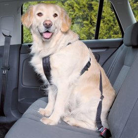 Ремни безопасности для собак