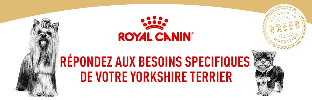 Votre box Royal Canin Yorkshire