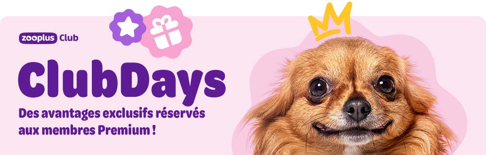 zooplus Club: ClubDays. Des avantages exclusifs réservés aux membres Premium !