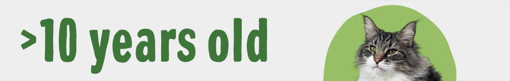 Senior Food for Cats Aged 10 and Above