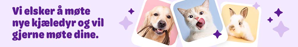 Petprofil