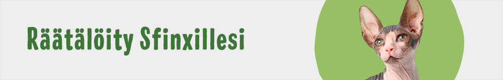 Cat Breed Sphynx 1000x160 FI