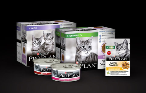 Влажный корм для кошек | Purina Pro Plan