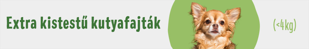 Extra kistestű kutyák