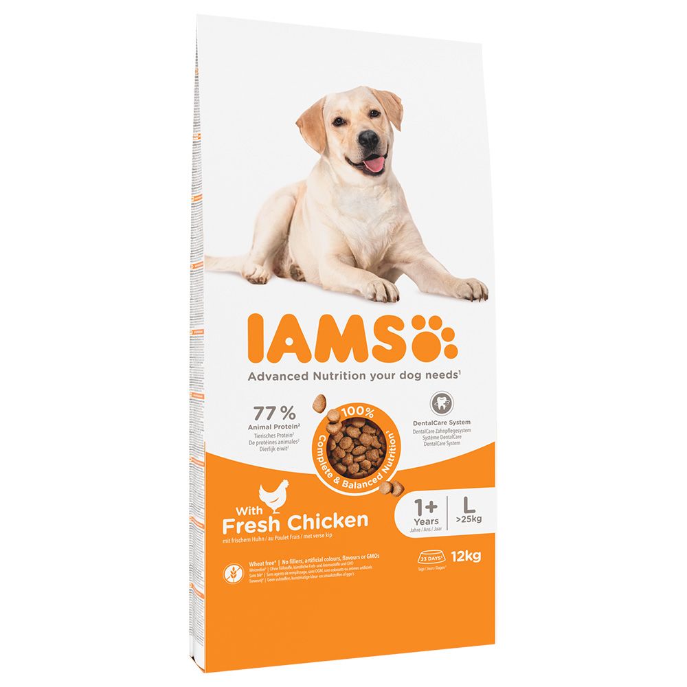 IAMS Advanced Nutrition Adult Large Dog - Chicken